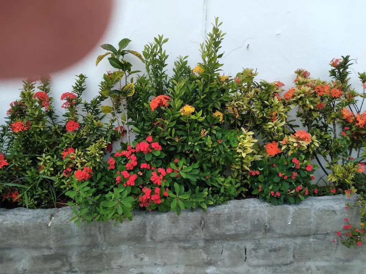** 宾馆 Pousada Terra De Minas 纳塔耳 巴西