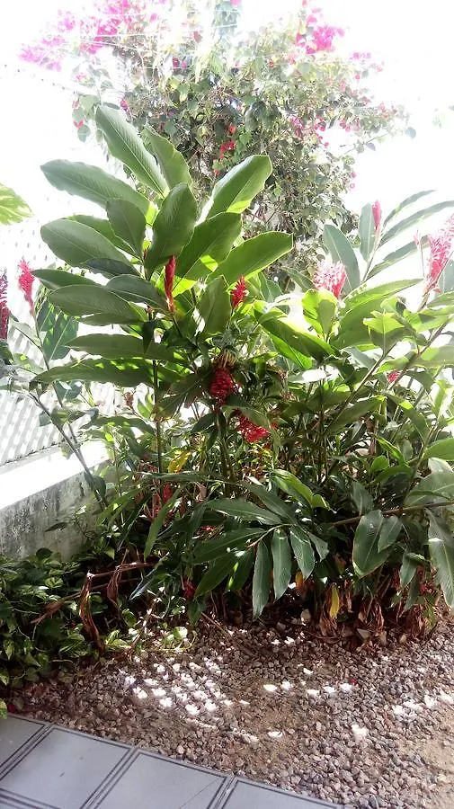 ** 宾馆 Pousada Terra De Minas 纳塔耳 巴西
